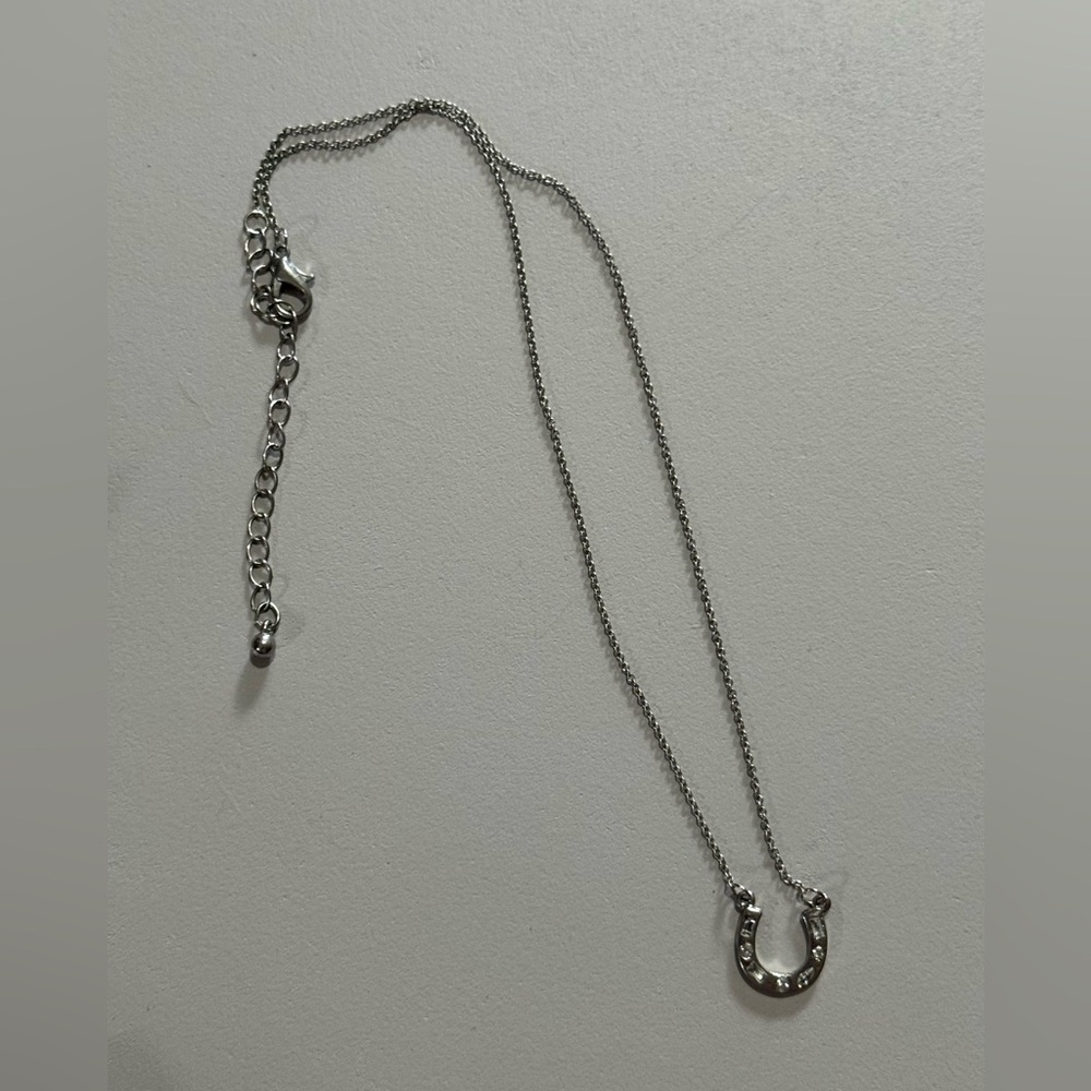 Silver Horseshoe Pendant Necklace